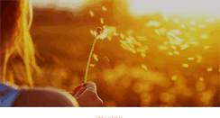 Desktop Screenshot of jbenderwellness.com